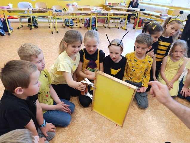 svetovydenvcel 18